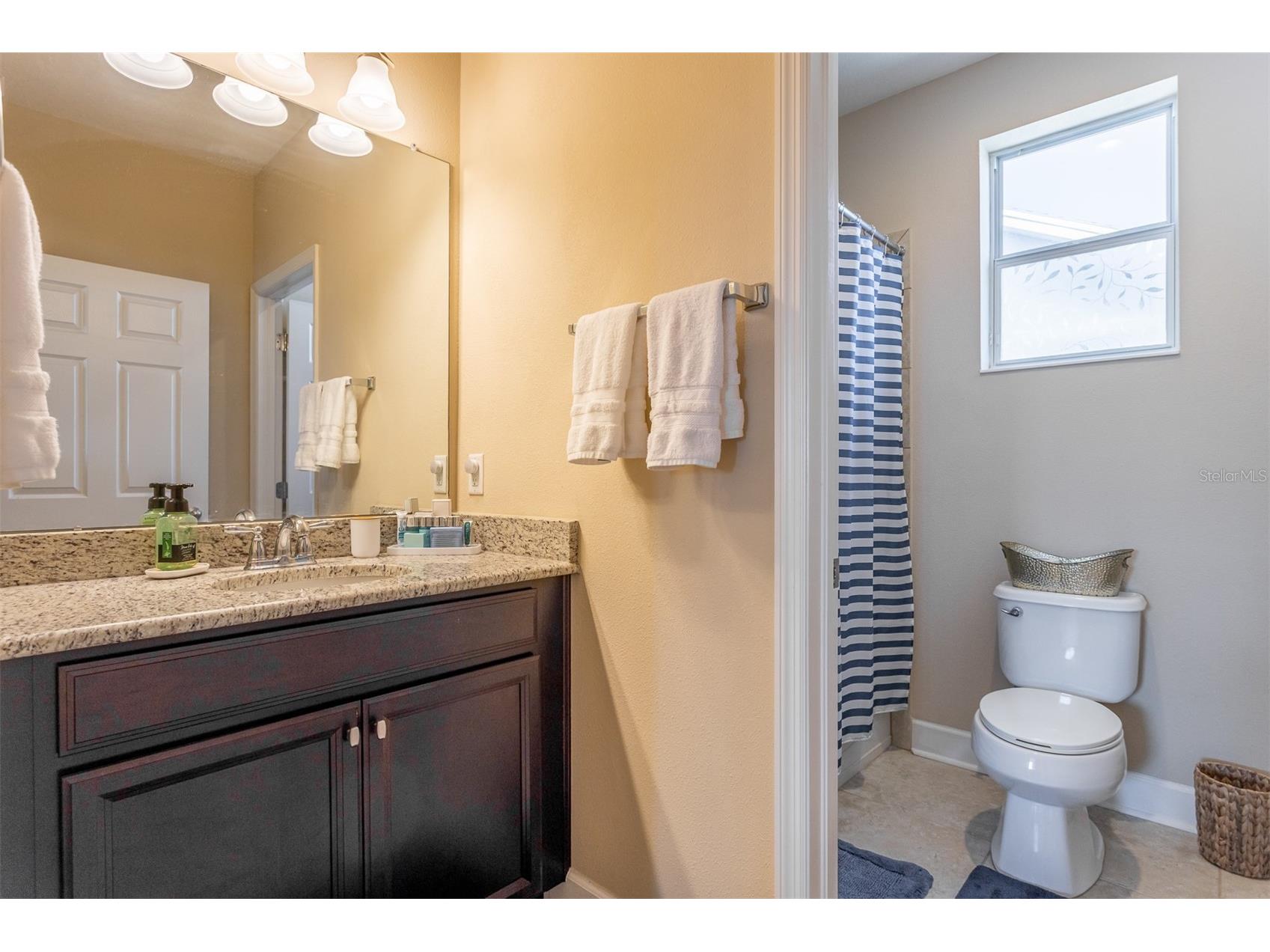 11143 Winthrop Lake Drive Riverview FL 33578 TB8485580 image38