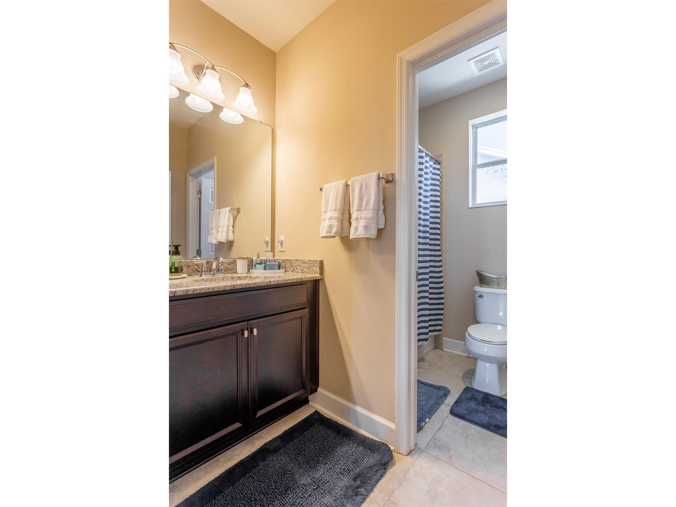 11143 Winthrop Lake Drive Riverview FL 33578 TB8485580 image39
