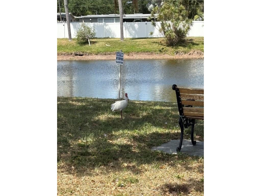 11144 101st Way #143 Largo FL 33773 - LAKE SEMINOLE TB8457071 image29