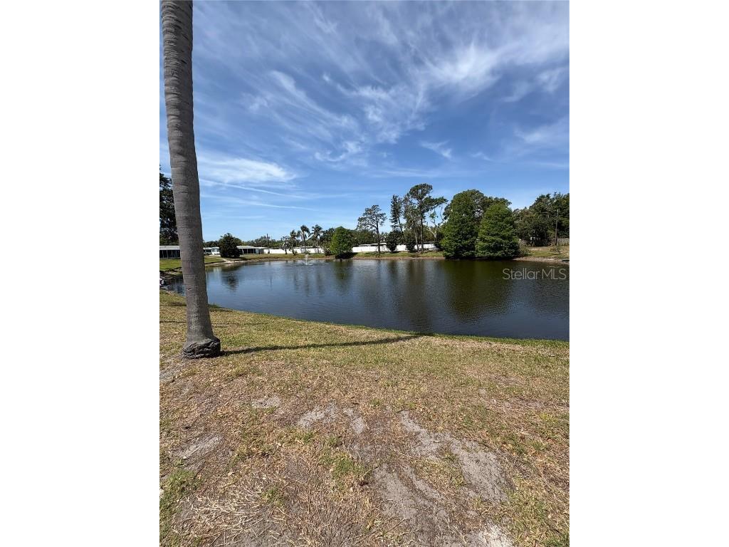 11144 101st Way #143 Largo FL 33773 - LAKE SEMINOLE TB8457071 image30