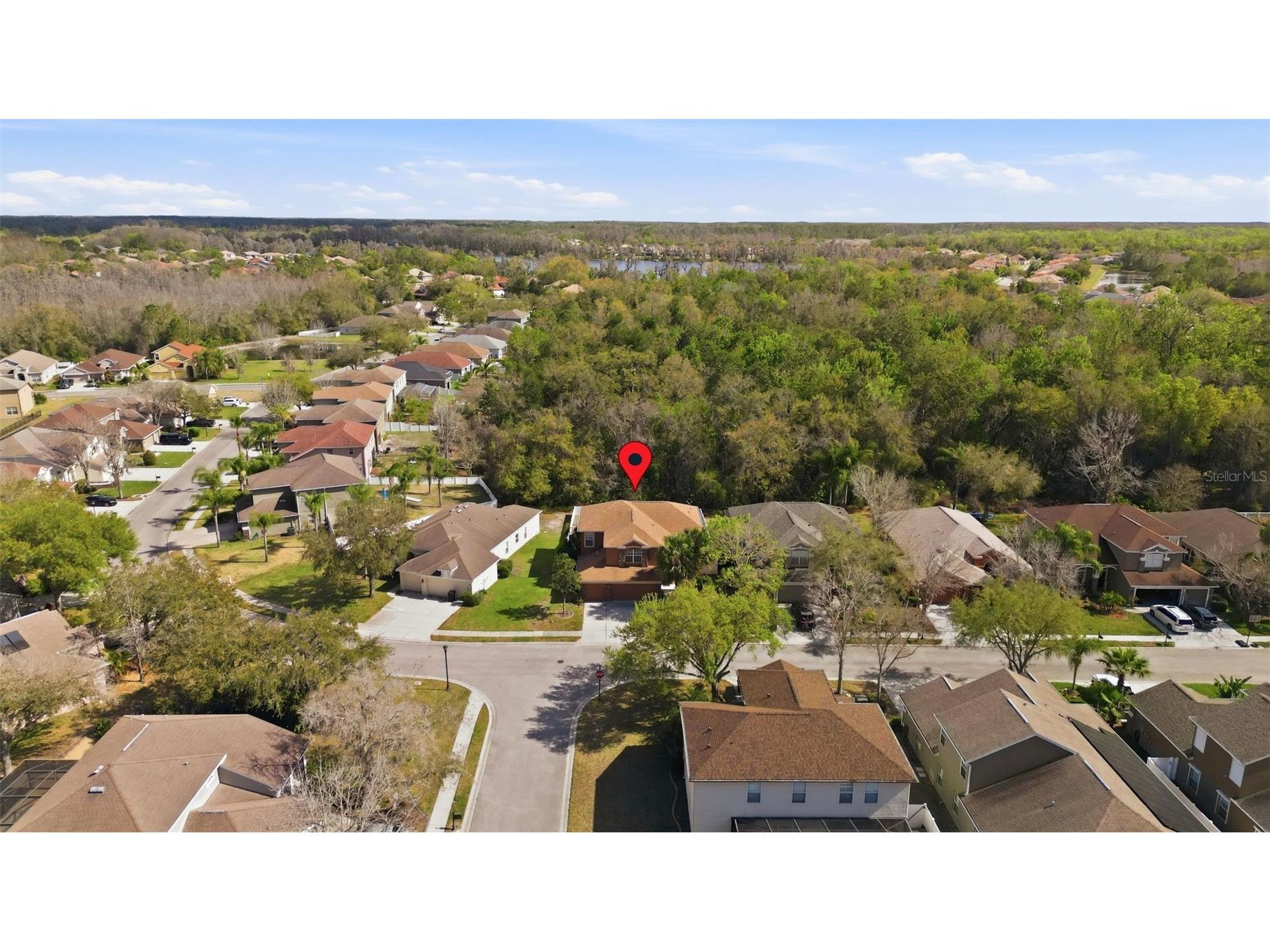 11144 Oyster Bay Circle New Port Richey FL 34654 - WEST MOON LAKE TB8477751 image43