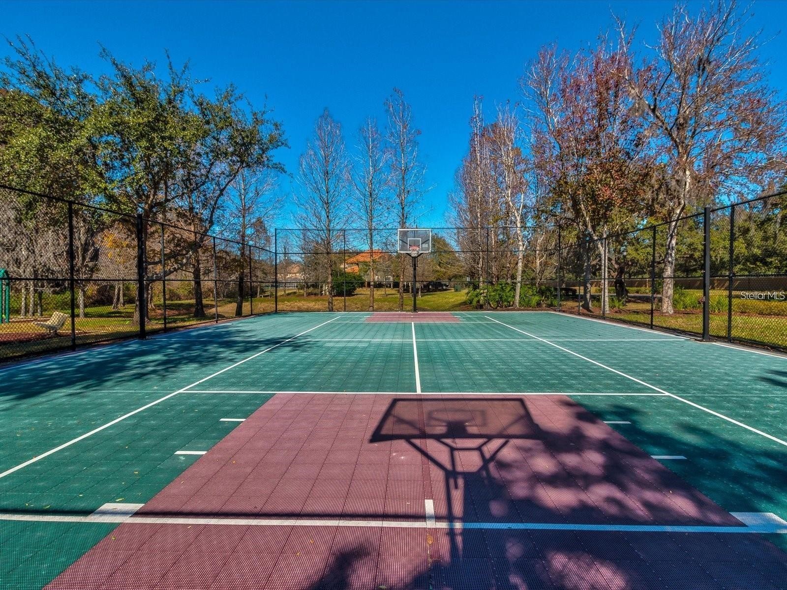 11144 Oyster Bay Circle New Port Richey FL 34654 - WEST MOON LAKE TB8477751 image51