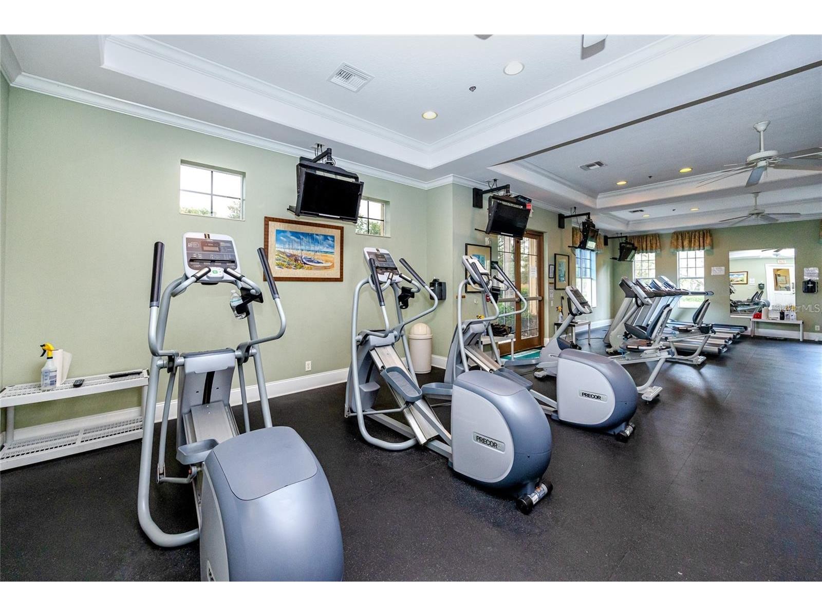 11144 Oyster Bay Circle New Port Richey FL 34654 - WEST MOON LAKE TB8477751 image56