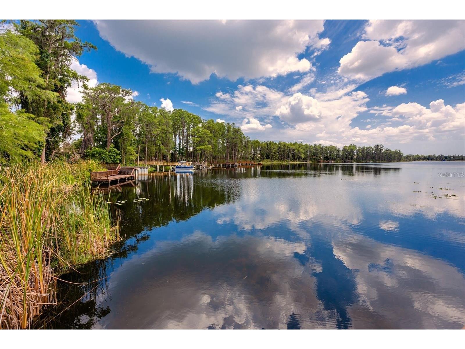 11144 Oyster Bay Circle New Port Richey FL 34654 - WEST MOON LAKE TB8477751 image58