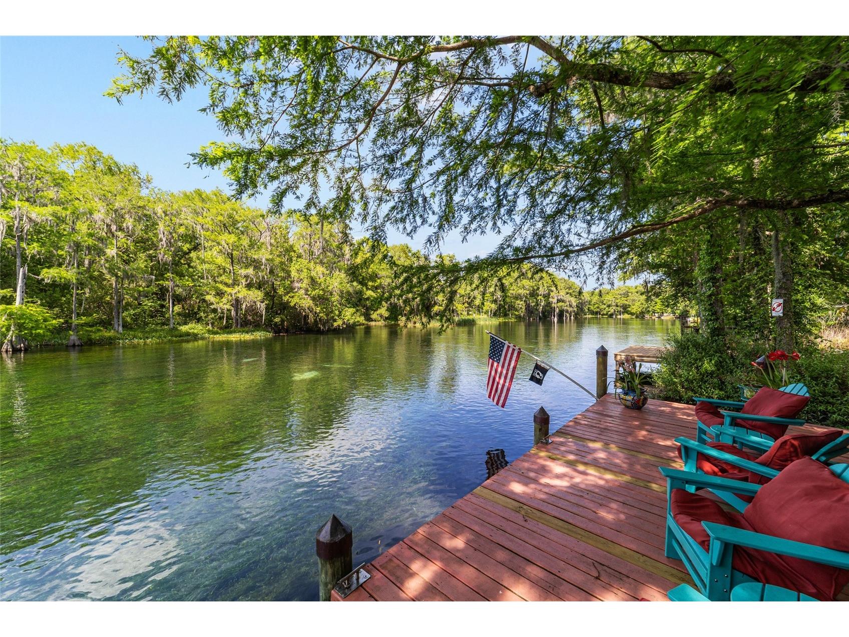 11144 SW 190th Avenue Dunnellon FL 34432 - RAINBOW RIVER OM722718 image3