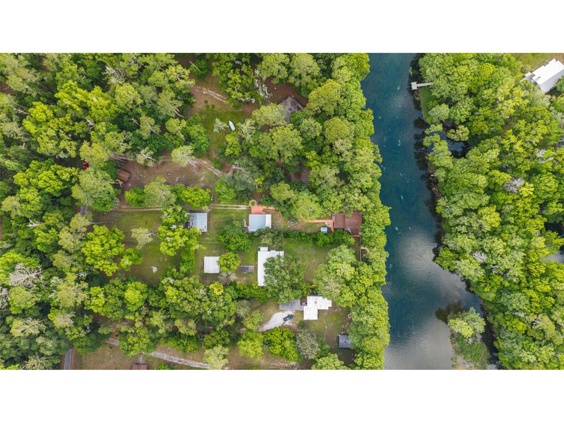 11144 SW 190th Avenue Dunnellon FL 34432 - RAINBOW RIVER OM722718 image5