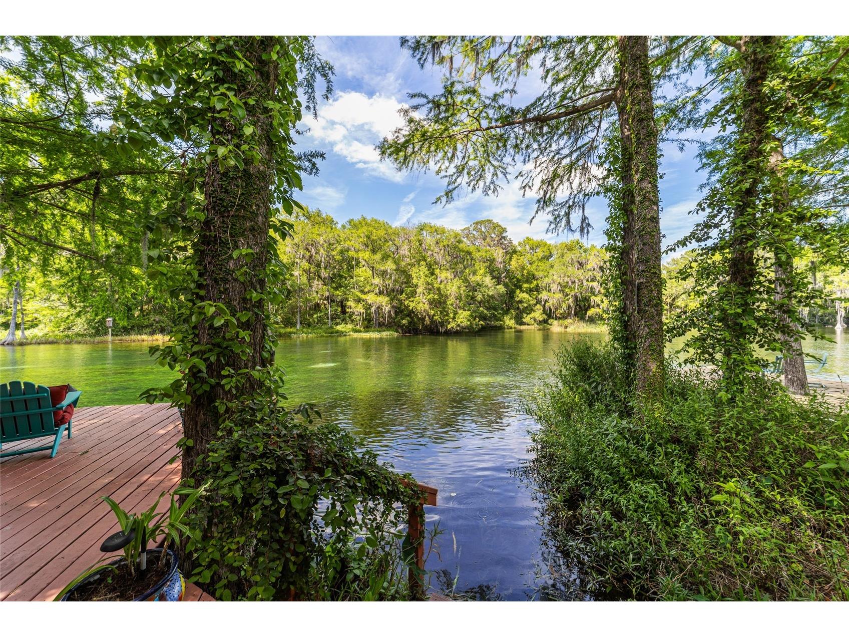 11144 SW 190th Avenue Dunnellon FL 34432 - RAINBOW RIVER OM722718 image7