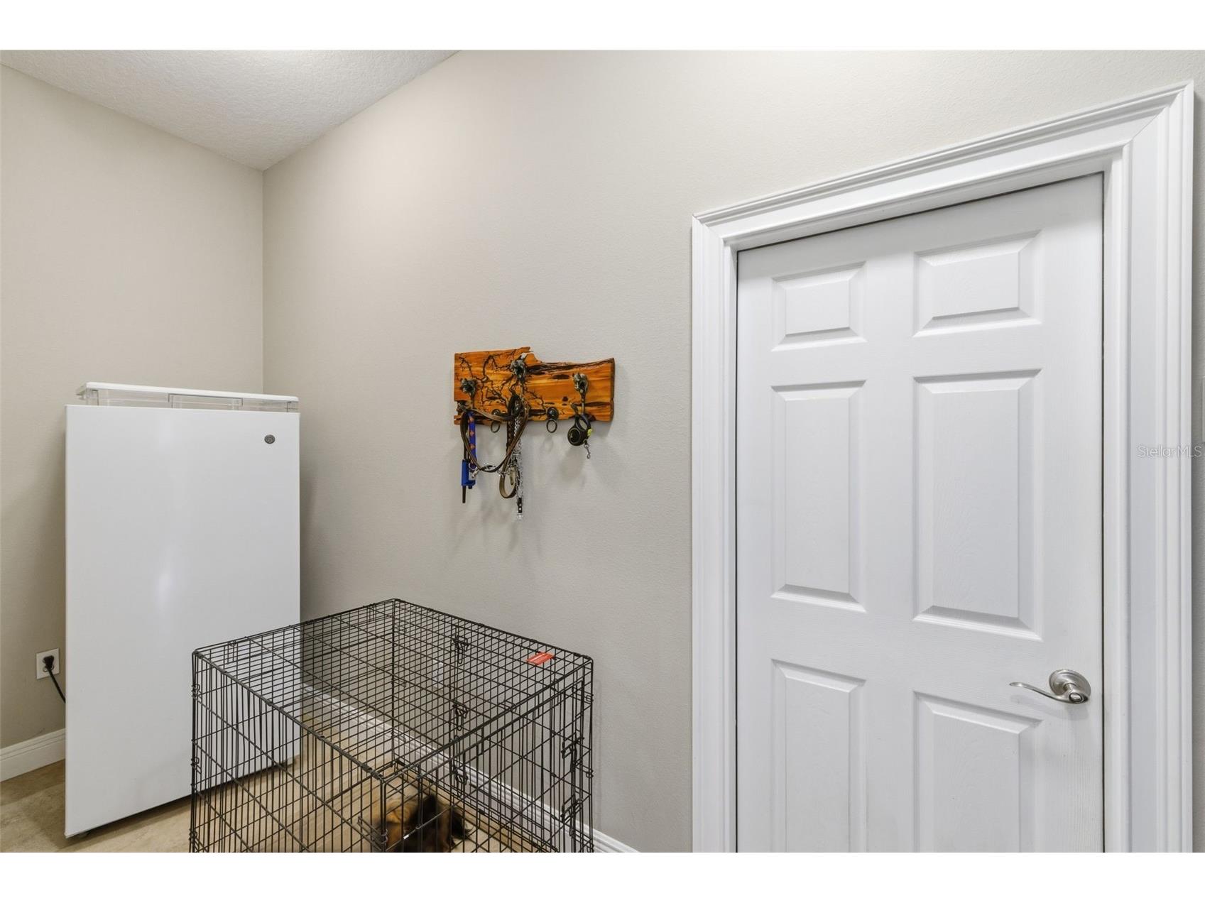 11145 Mountain Mockingbird Rd Weeki Wachee FL 34614 TB8514957 image56