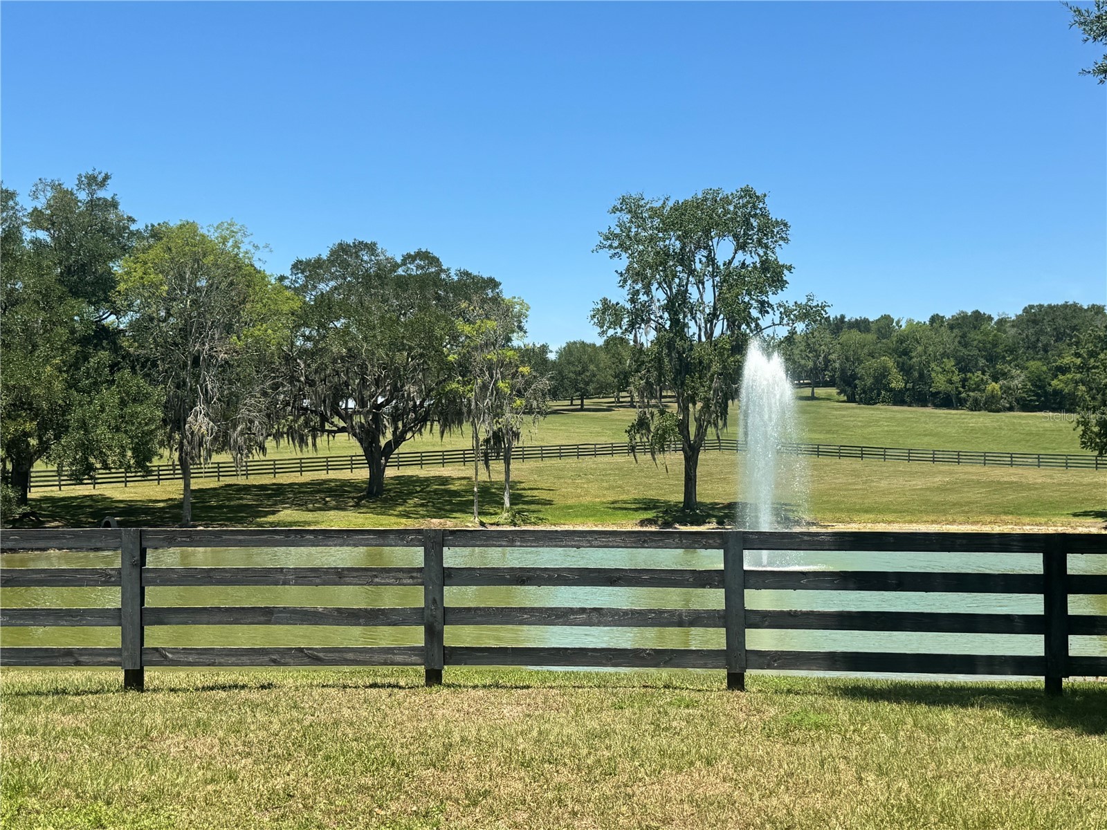 11145 NW 17th Court Road Ocala FL 34475 OM724922 image4