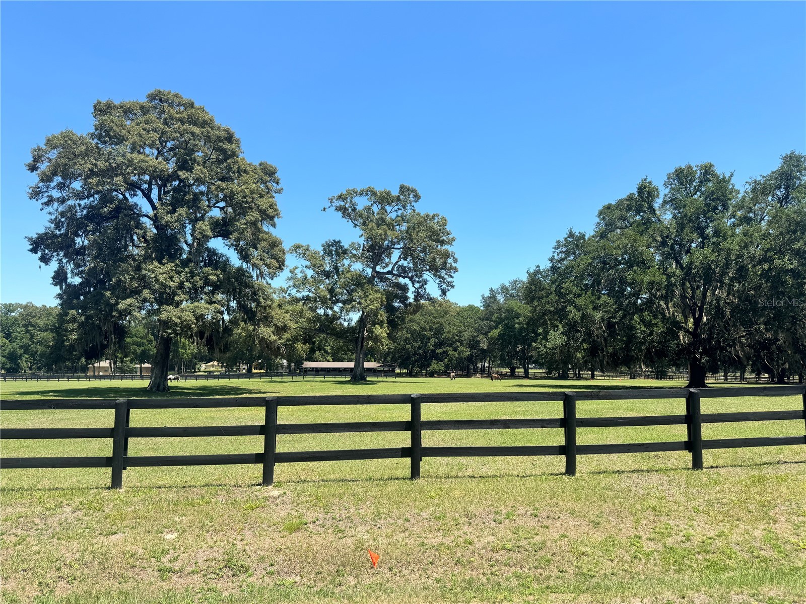 11145 NW 17th Court Road Ocala FL 34475 OM724922 image55
