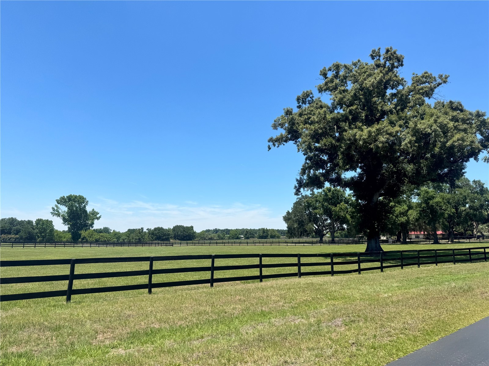 11145 NW 17th Court Road Ocala FL 34475 OM724922 image59