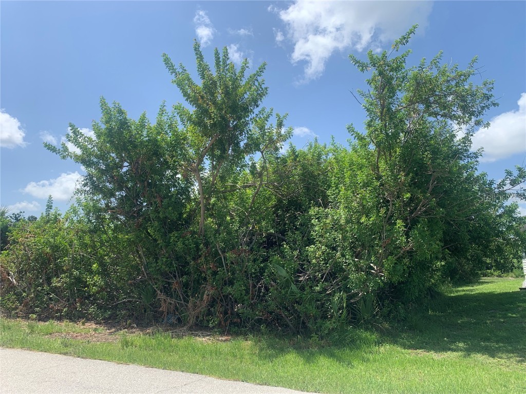 11145 Reinhardt Avenue Englewood FL 34224 D6131429 image1