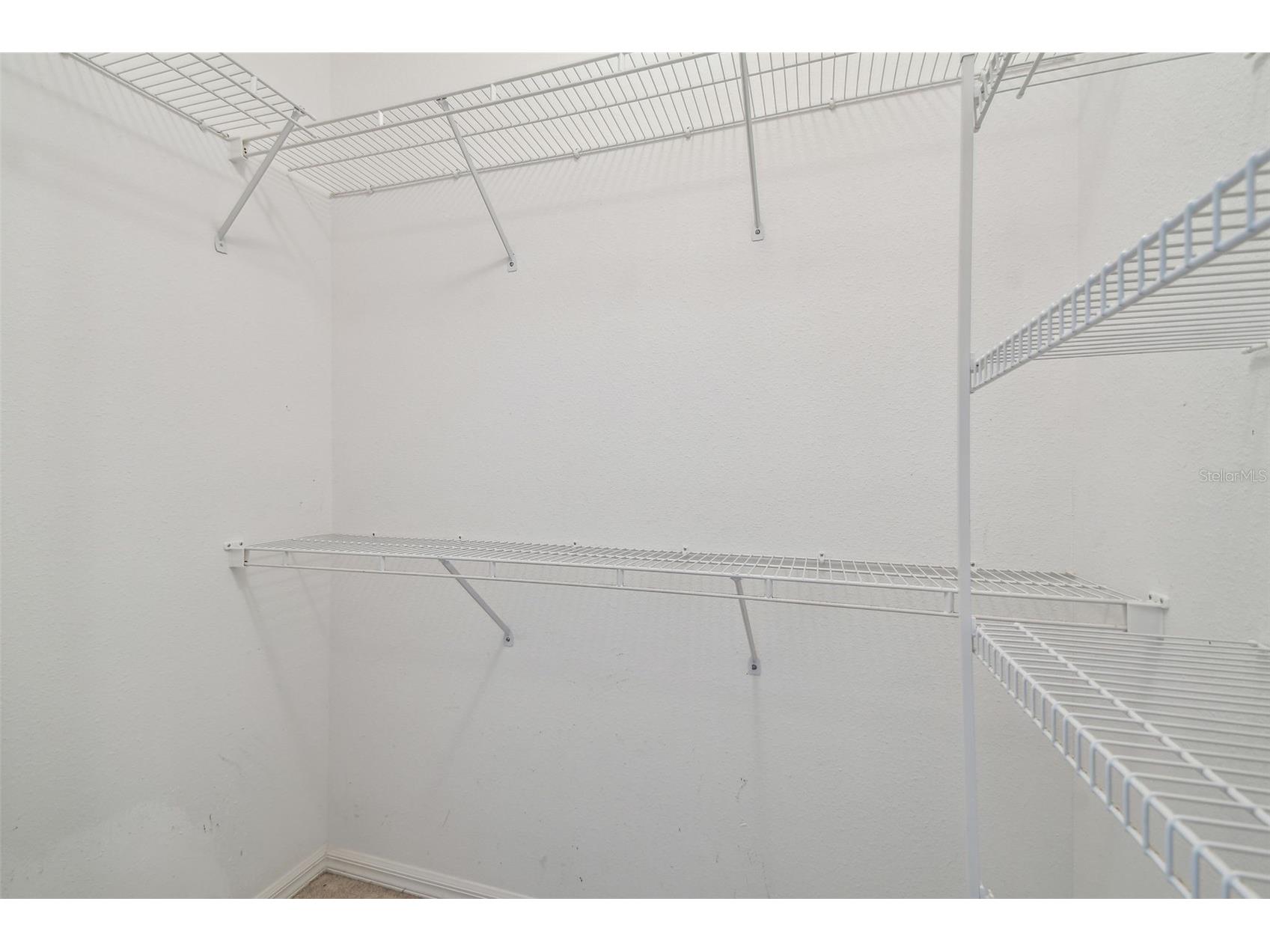 11147 Brambleleaf Way Hudson FL 34667 TB8377426 image14