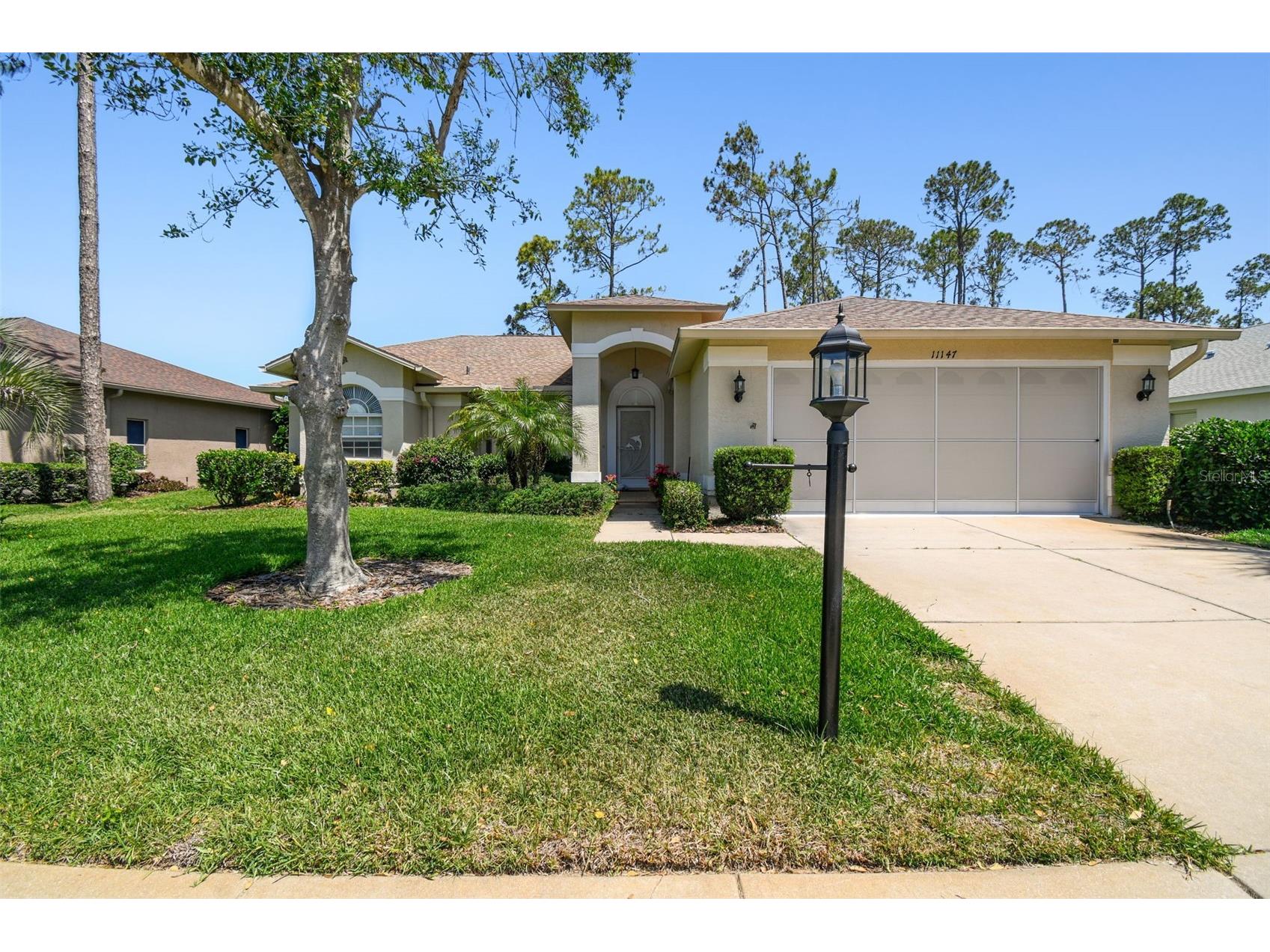 11147 Brambleleaf Way Hudson FL 34667 TB8377426 image2