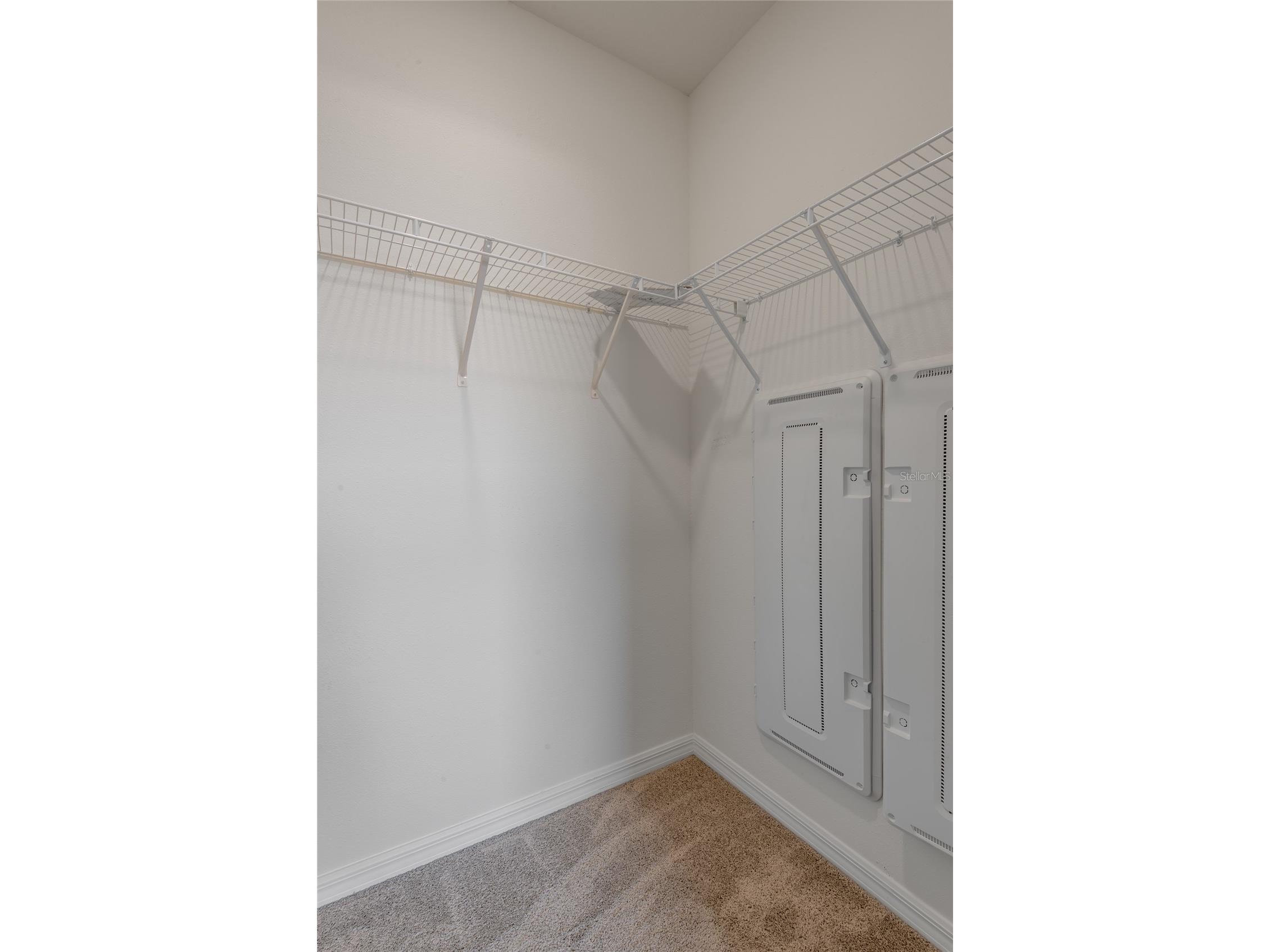 11147 Crescent Deer Drive Land O Lakes FL 34638 TB8492176 image20