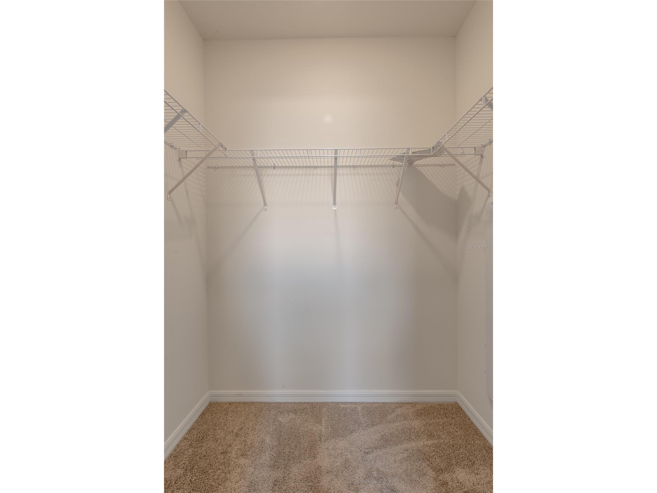 11147 Crescent Deer Drive Land O Lakes FL 34638 TB8492176 image21