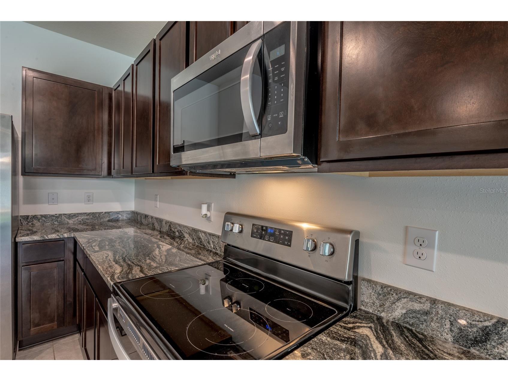 11147 Crescent Deer Drive Land O Lakes FL 34638 TB8492176 image27
