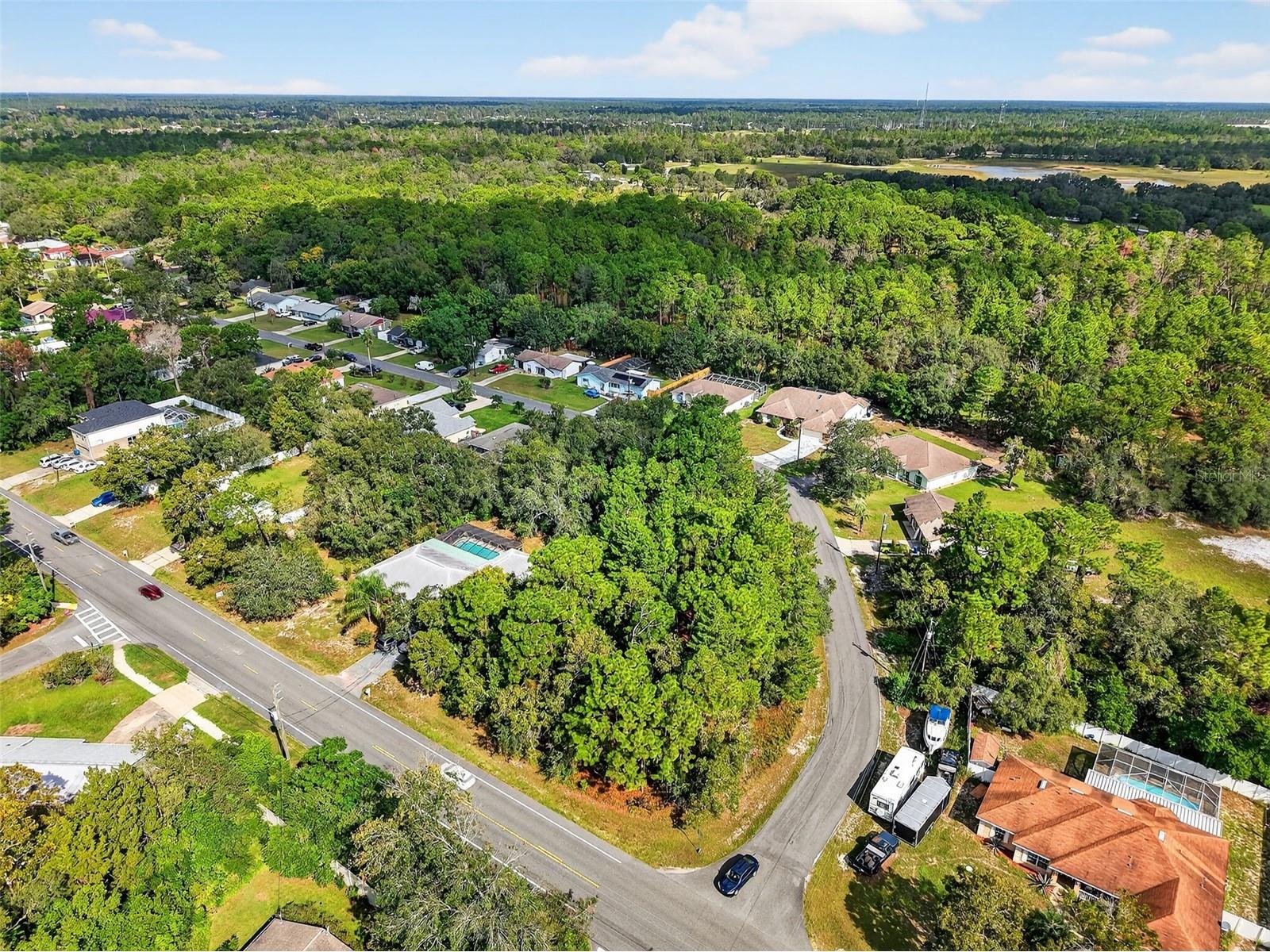 11148 Gifford Drive Spring Hill FL 34608 TB8424893 image11