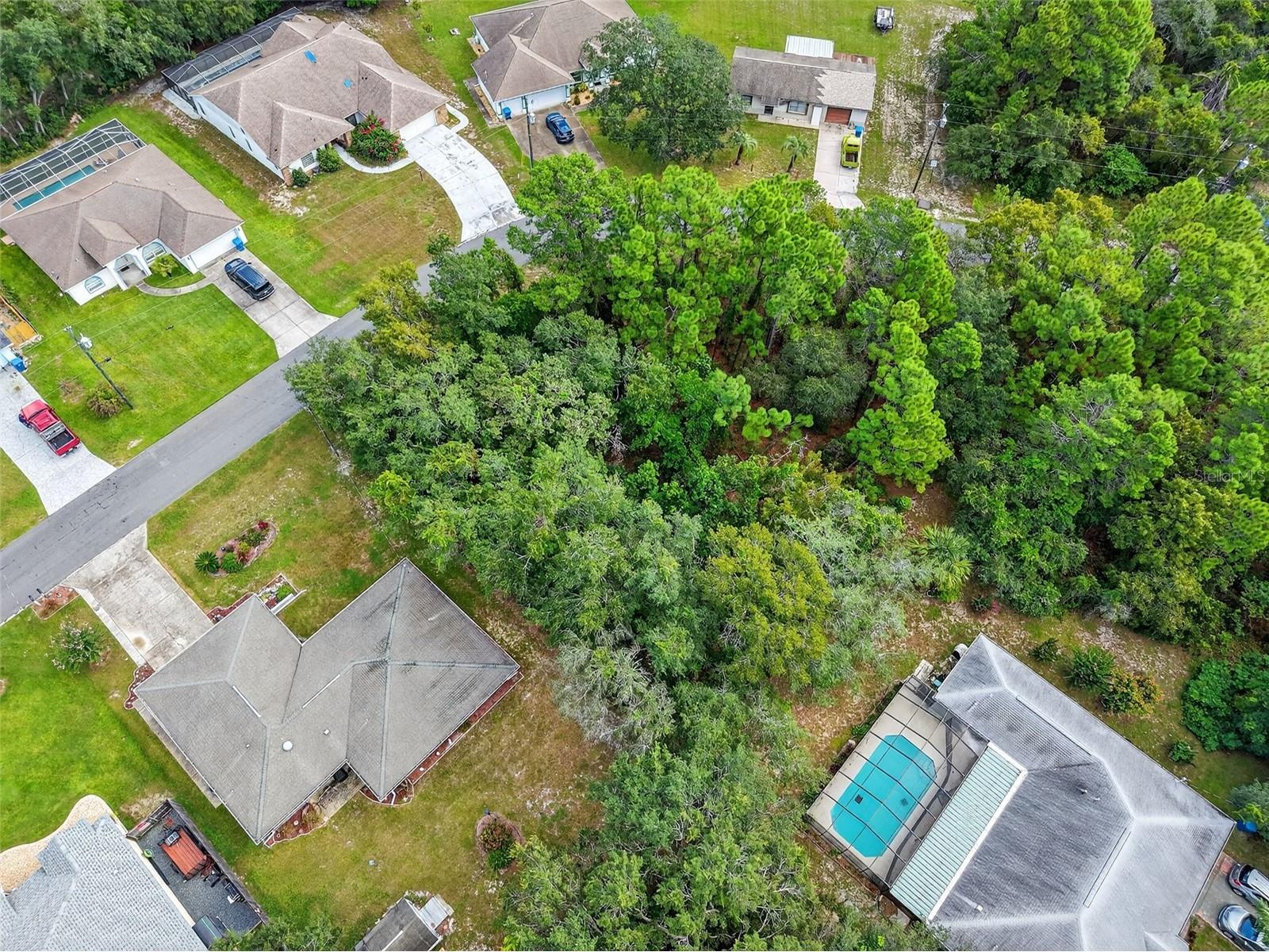 11148 Gifford Drive Spring Hill FL 34608 TB8424893 image4