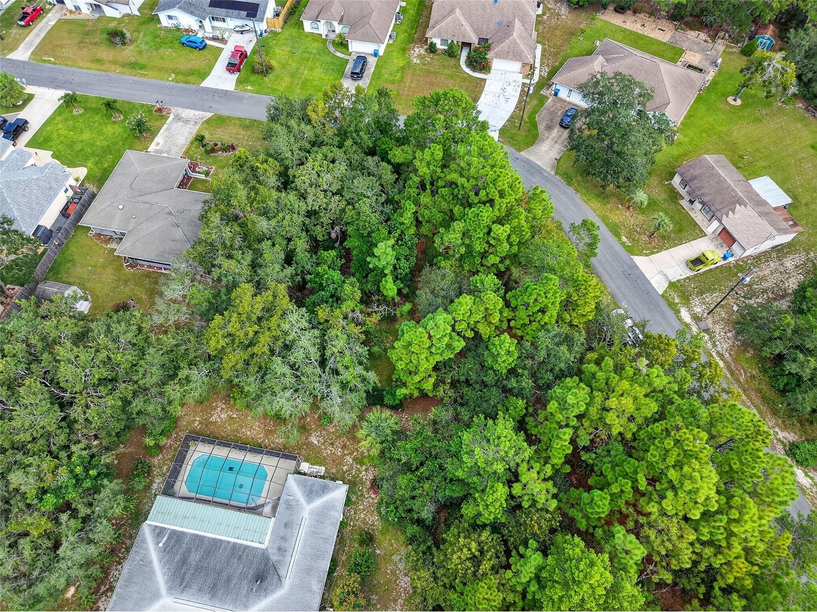 11148 Gifford Drive Spring Hill FL 34608 TB8424893 image5