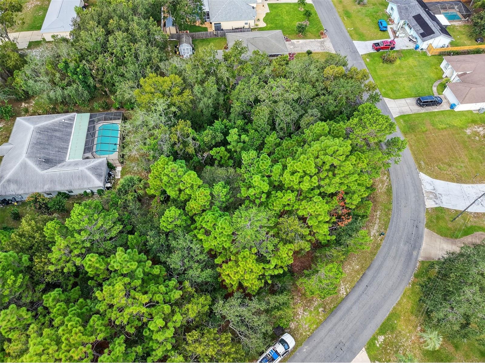 11148 Gifford Drive Spring Hill FL 34608 TB8424893 image6