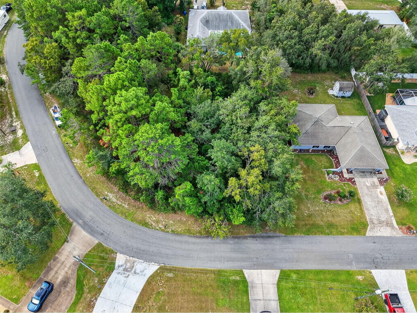 11148 Gifford Drive Spring Hill FL 34608 TB8424893 image7