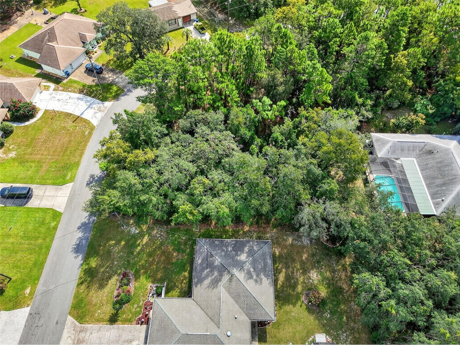 11148 Gifford Drive Spring Hill FL 34608 TB8424893 image8