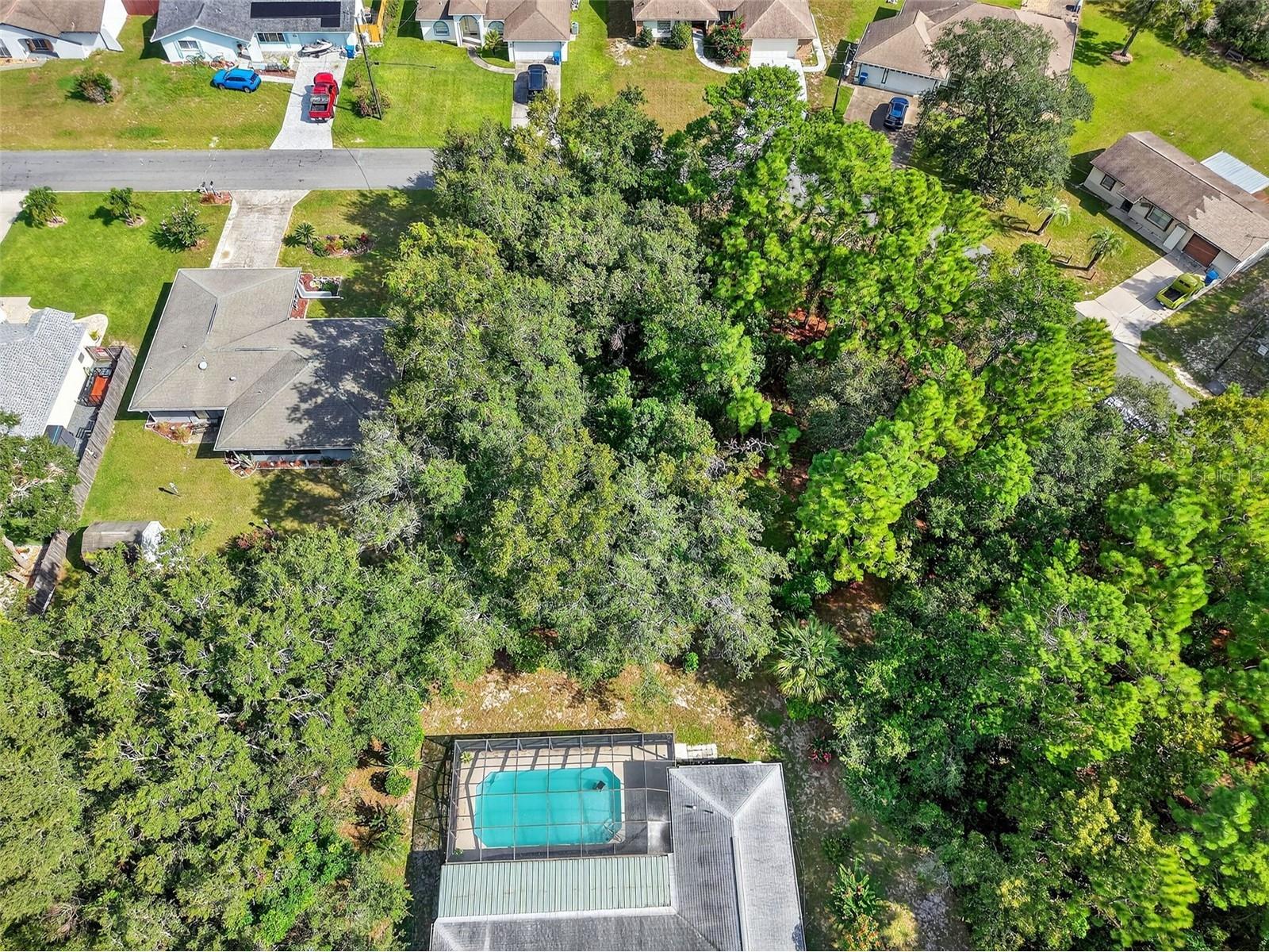 11148 Gifford Drive Spring Hill FL 34608 TB8424893 image9