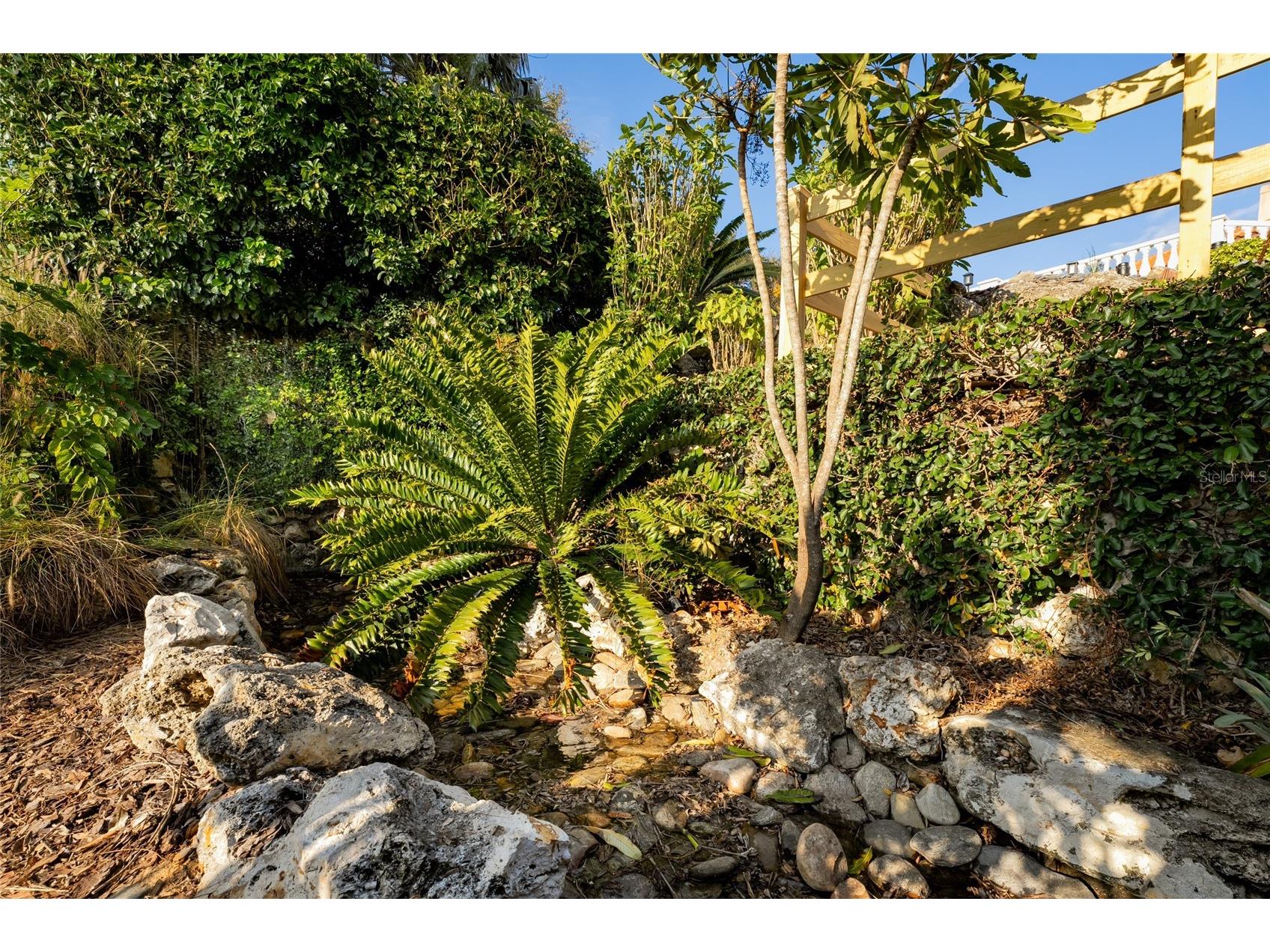 11148 Lane Park Road Tavares FL 32778 - LAKE HARRIS O6270909 image22