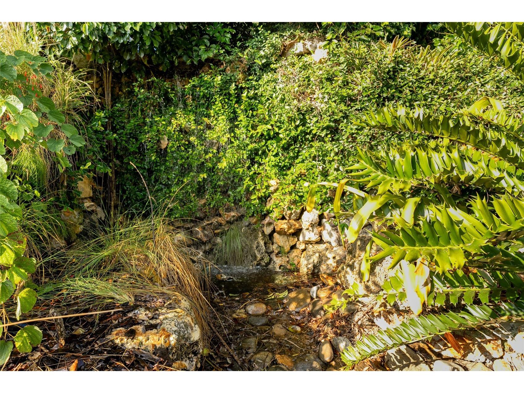 11148 Lane Park Road Tavares FL 32778 - LAKE HARRIS O6270909 image23