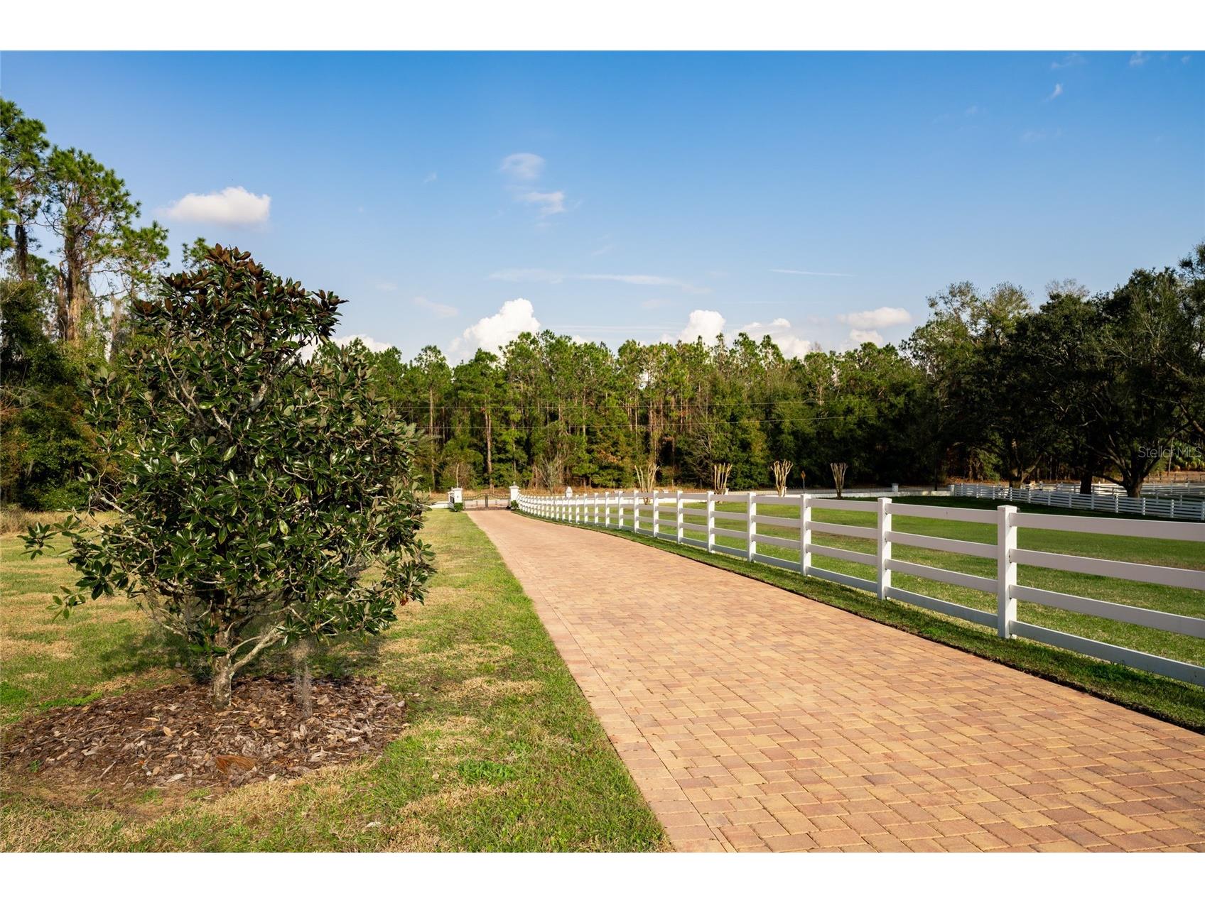 11148 Lane Park Road Tavares FL 32778 - LAKE HARRIS O6270909 image39