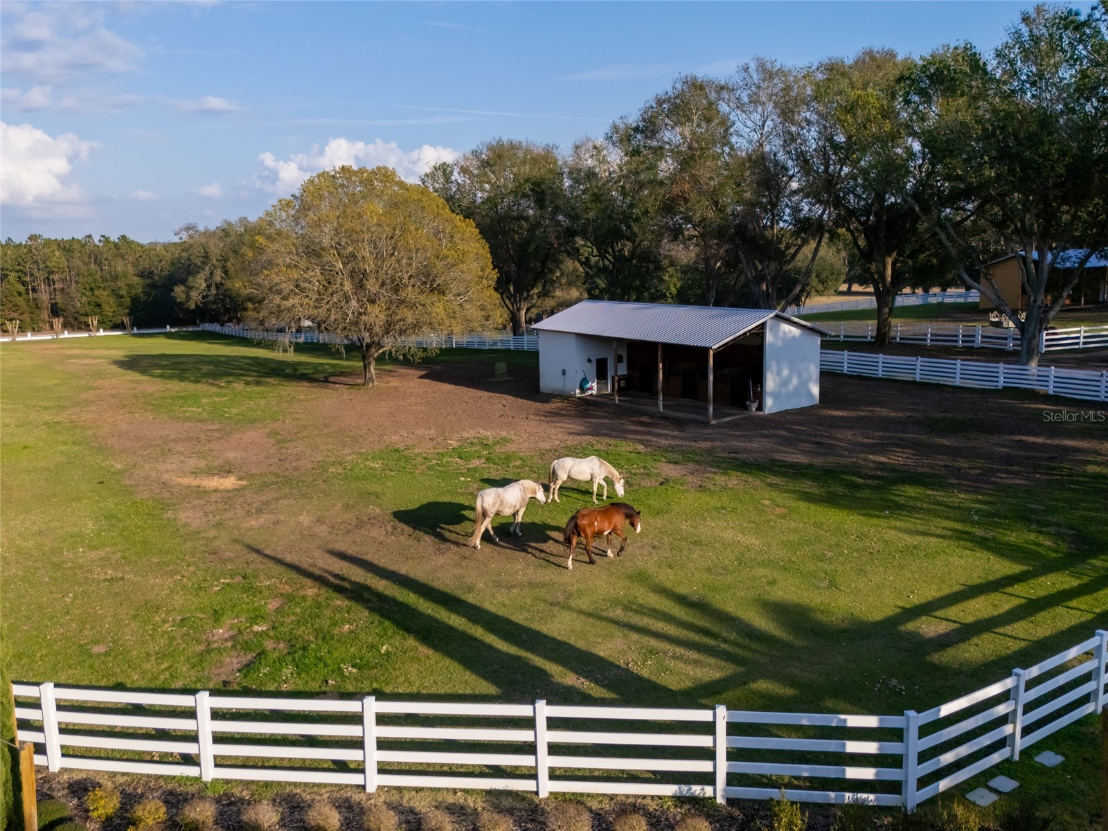 11148 Lane Park Road Tavares FL 32778 - LAKE HARRIS O6270909 image41