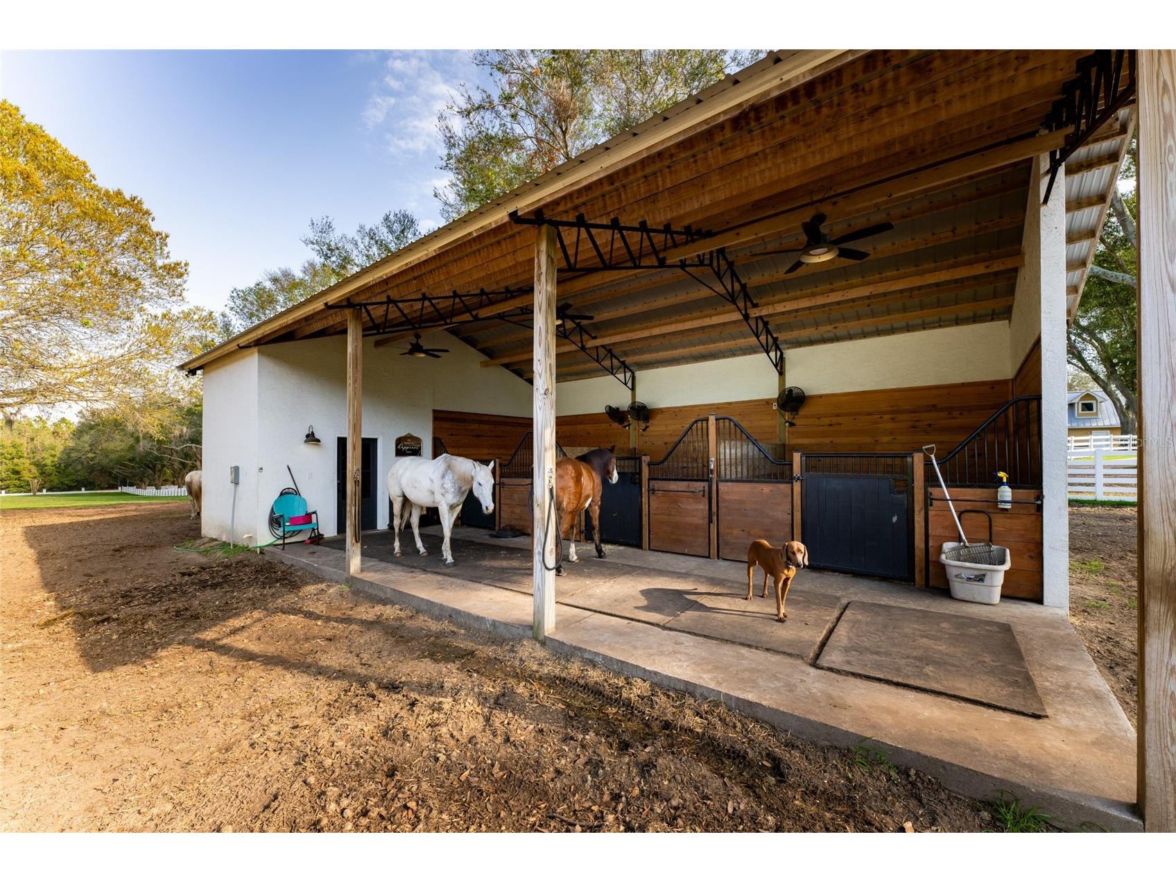 11148 Lane Park Road Tavares FL 32778 - LAKE HARRIS O6270909 image42