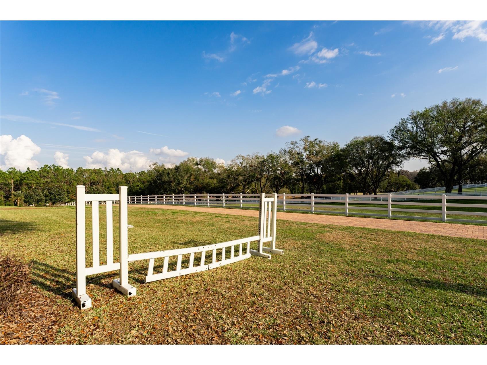 11148 Lane Park Road Tavares FL 32778 - LAKE HARRIS O6270909 image53