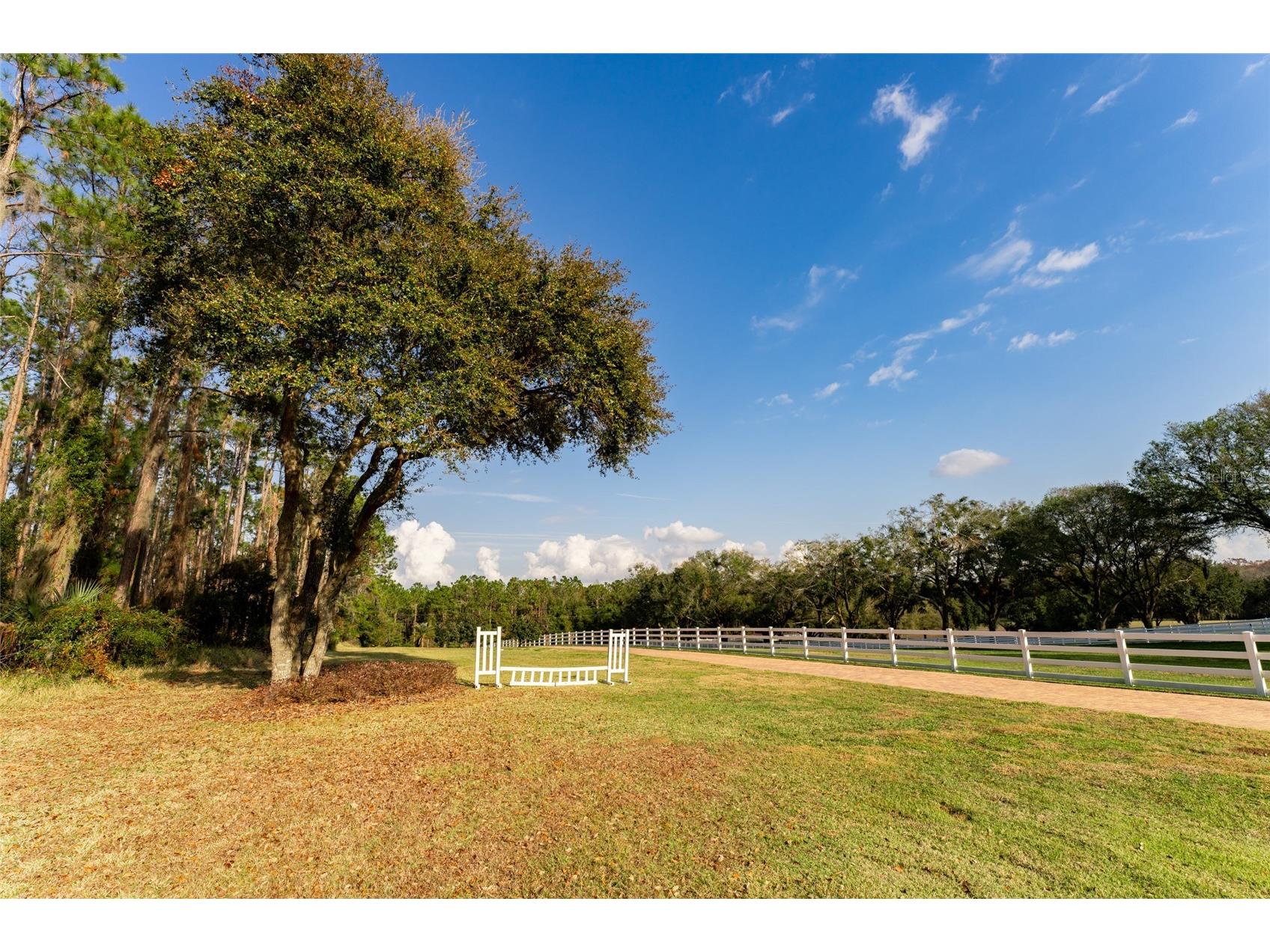 11148 Lane Park Road Tavares FL 32778 - LAKE HARRIS O6270909 image54