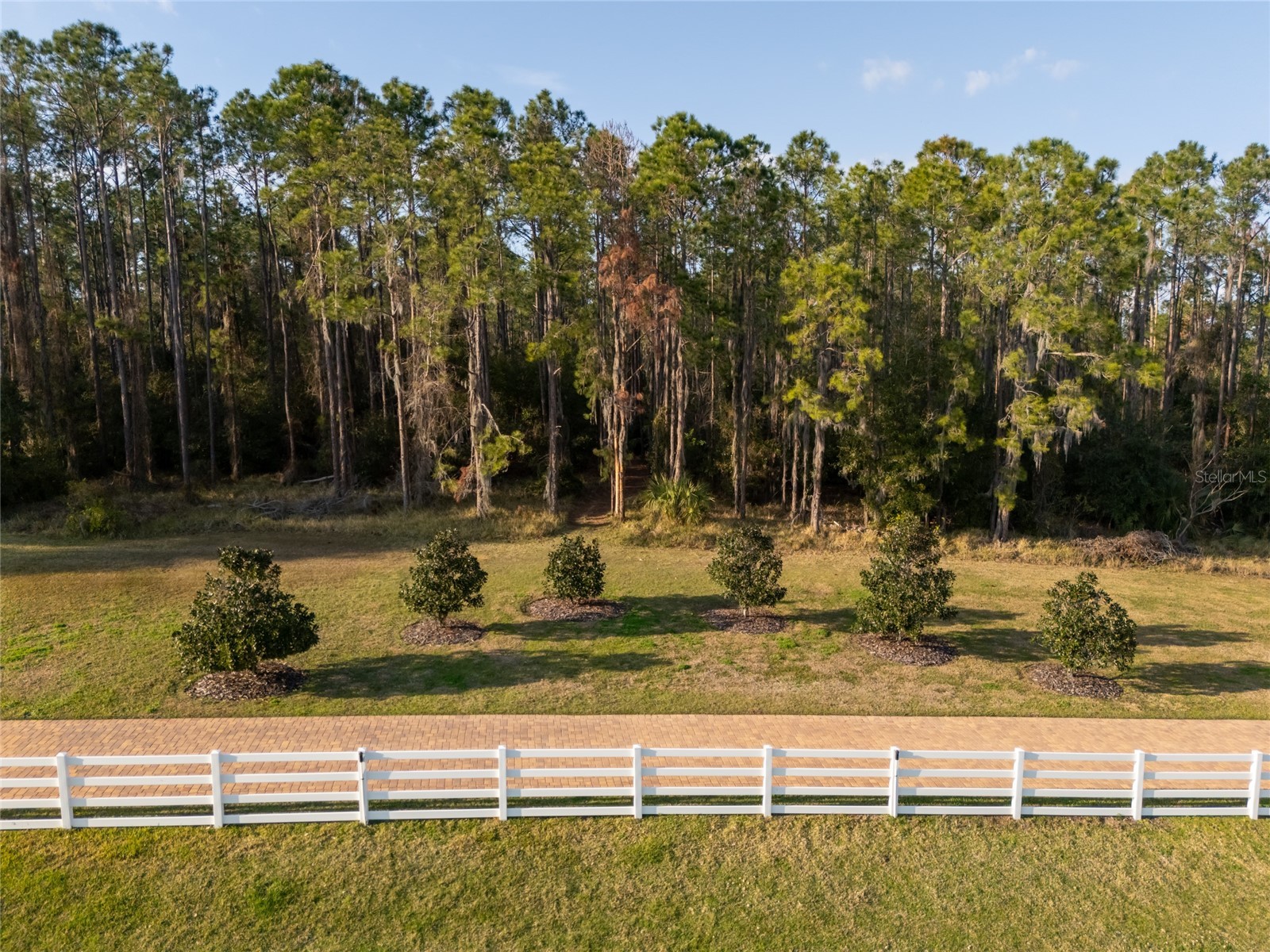 11148 Lane Park Road Tavares FL 32778 - LAKE HARRIS O6270909 image55