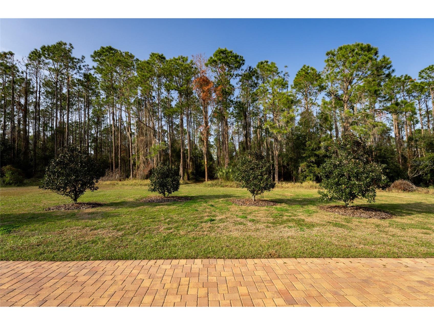 11148 Lane Park Road Tavares FL 32778 - LAKE HARRIS O6270909 image57