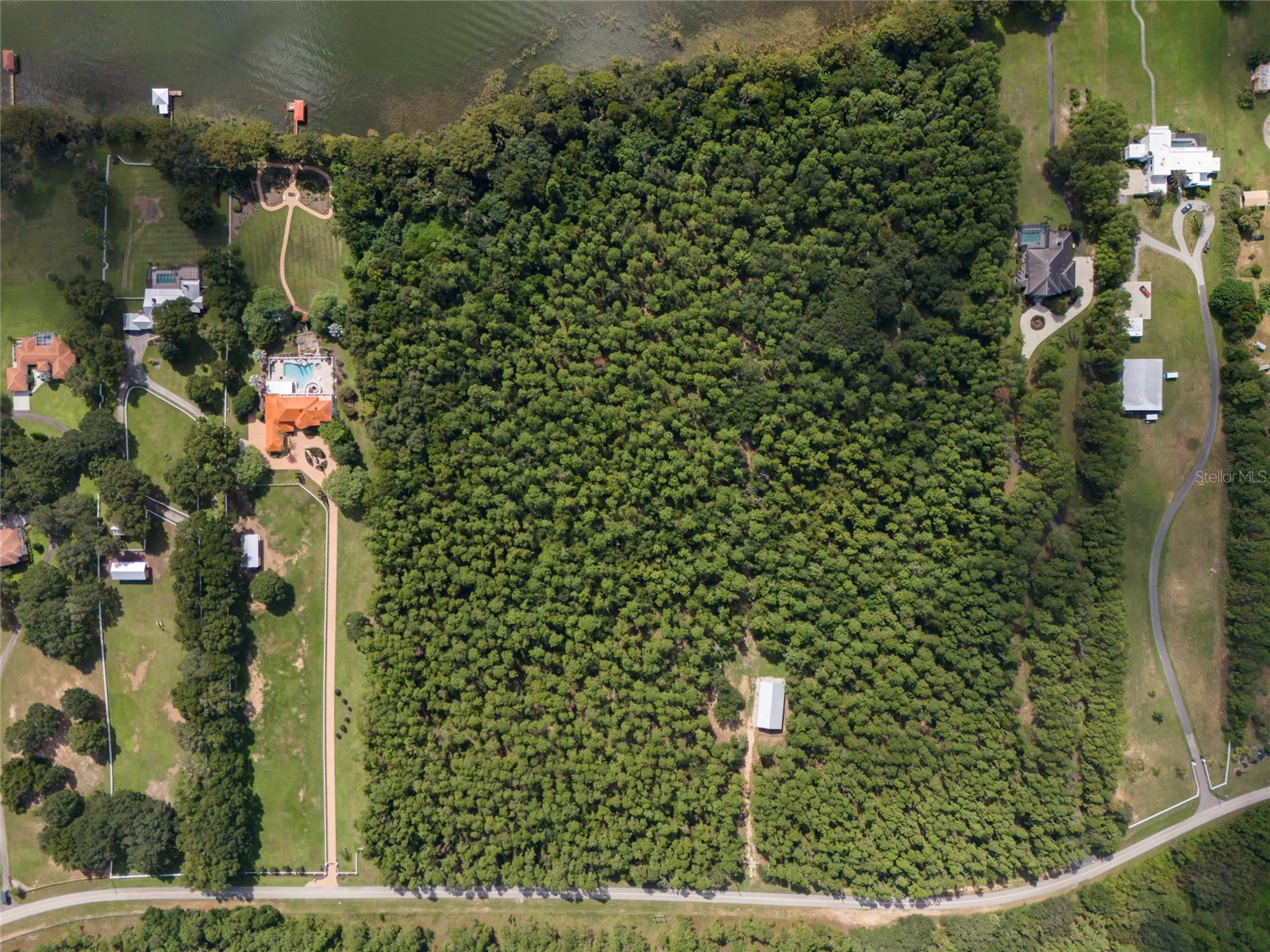 11148 Lane Park Road Tavares FL 32778 - LAKE HARRIS O6270909 image8