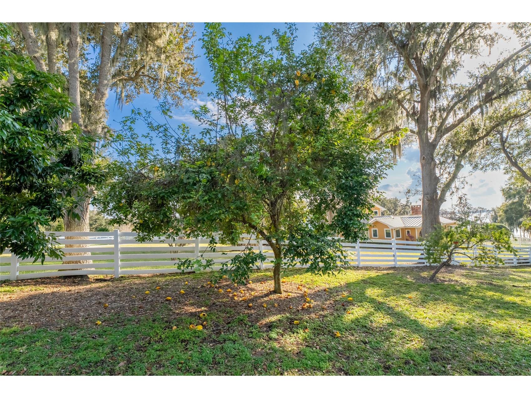 11148 Lane Park Road Tavares FL 32778 - LAKE HARRIS O6270909 image90
