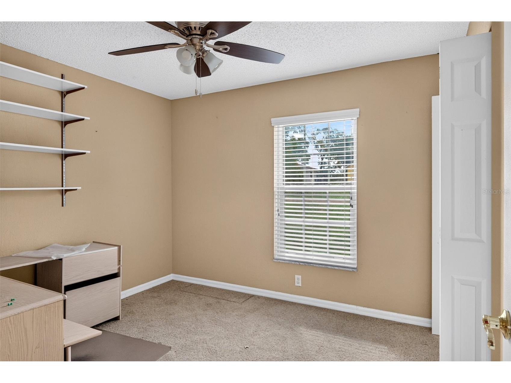 11148 Linden Drive Spring Hill FL 34609 TB8522541 image22