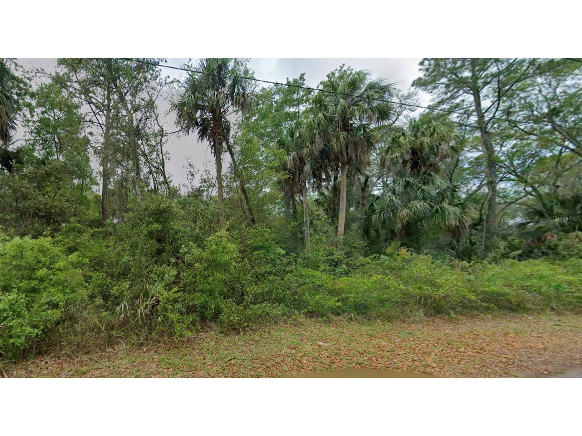 11148 W Cedar Lake Drive Crystal River FL 34428 TB8507027 image1