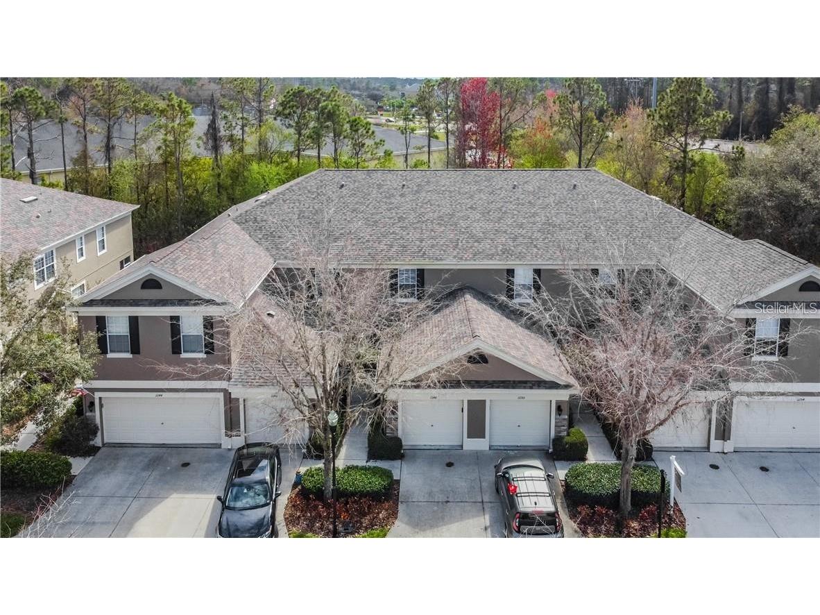 11148 Windsor Place Circle Tampa FL 33626 T3517054 image1