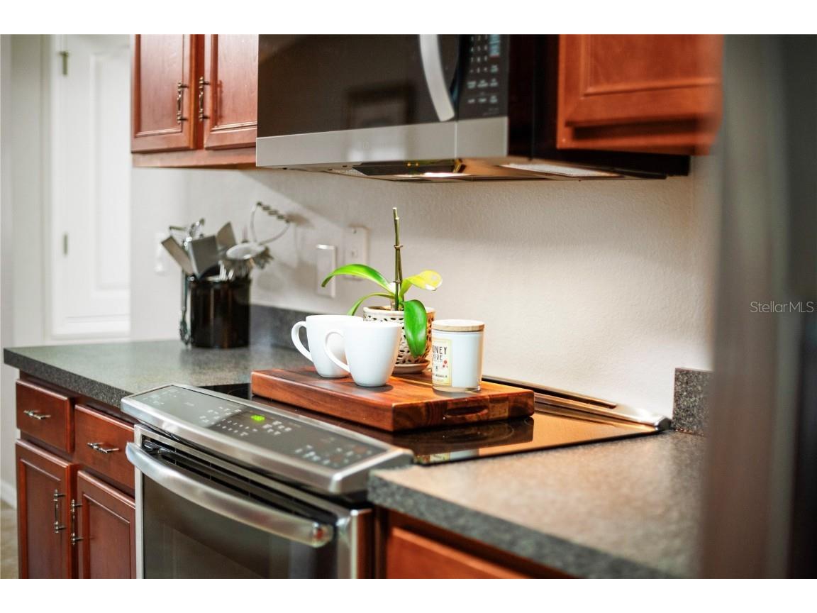 11149 Oakshore Lane Clermont FL 34711 O6349581 image37