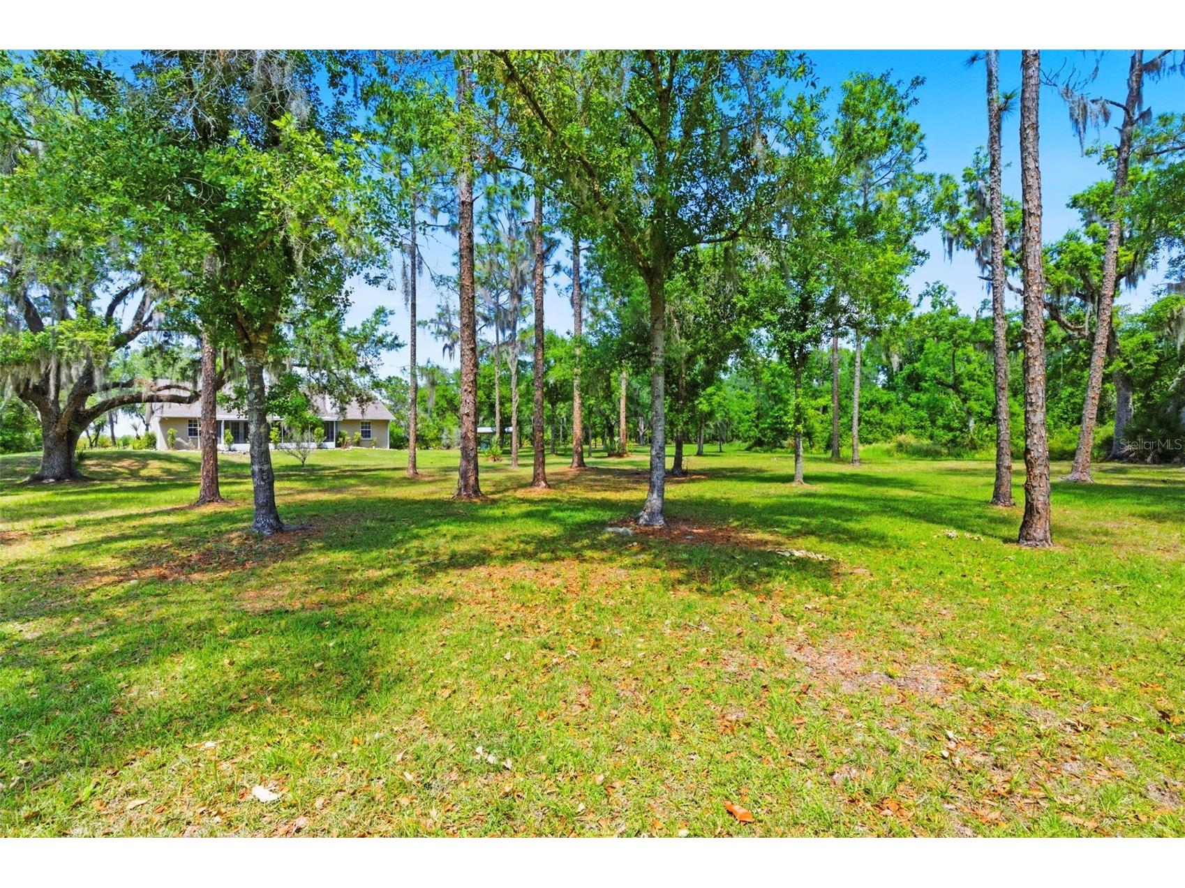 1115 410th Court E Myakka City FL 34251 TB8499646 image41