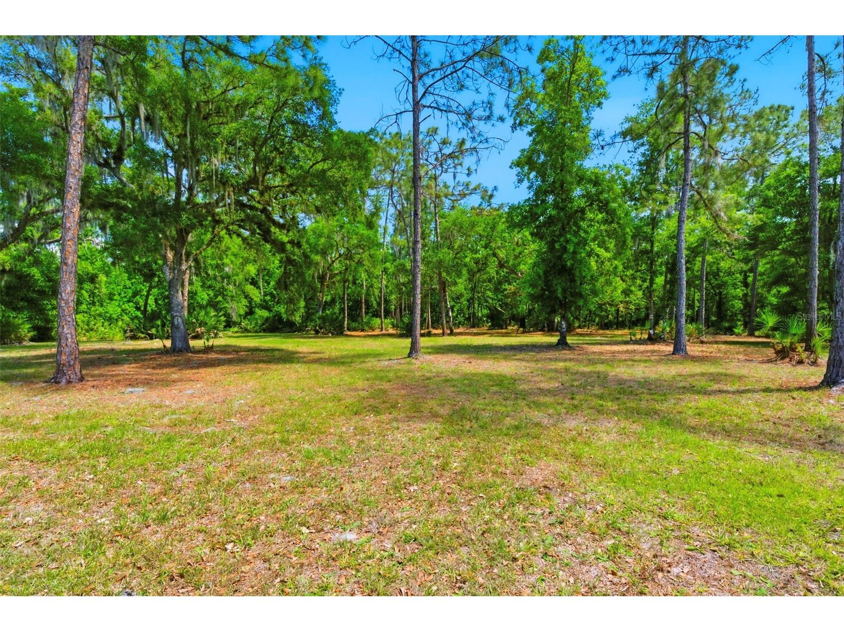 1115 410th Court E Myakka City FL 34251 TB8499646 image42
