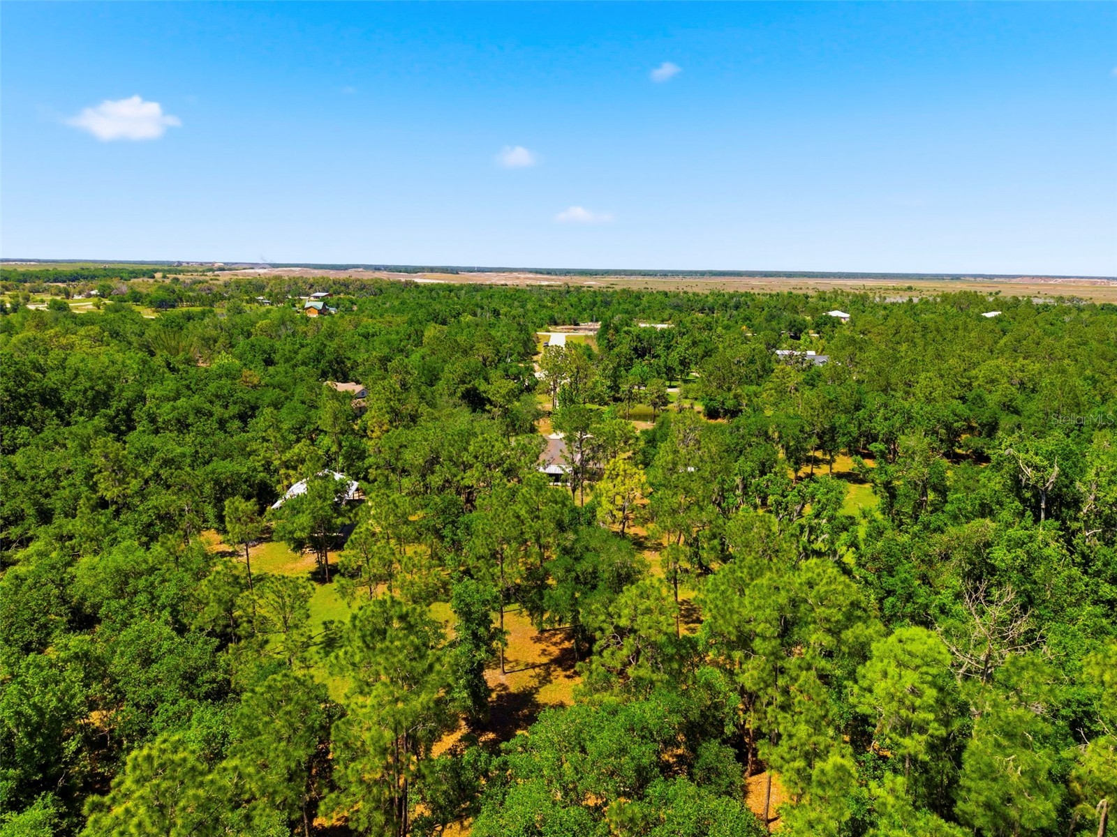 1115 410th Court E Myakka City FL 34251 TB8499646 image49