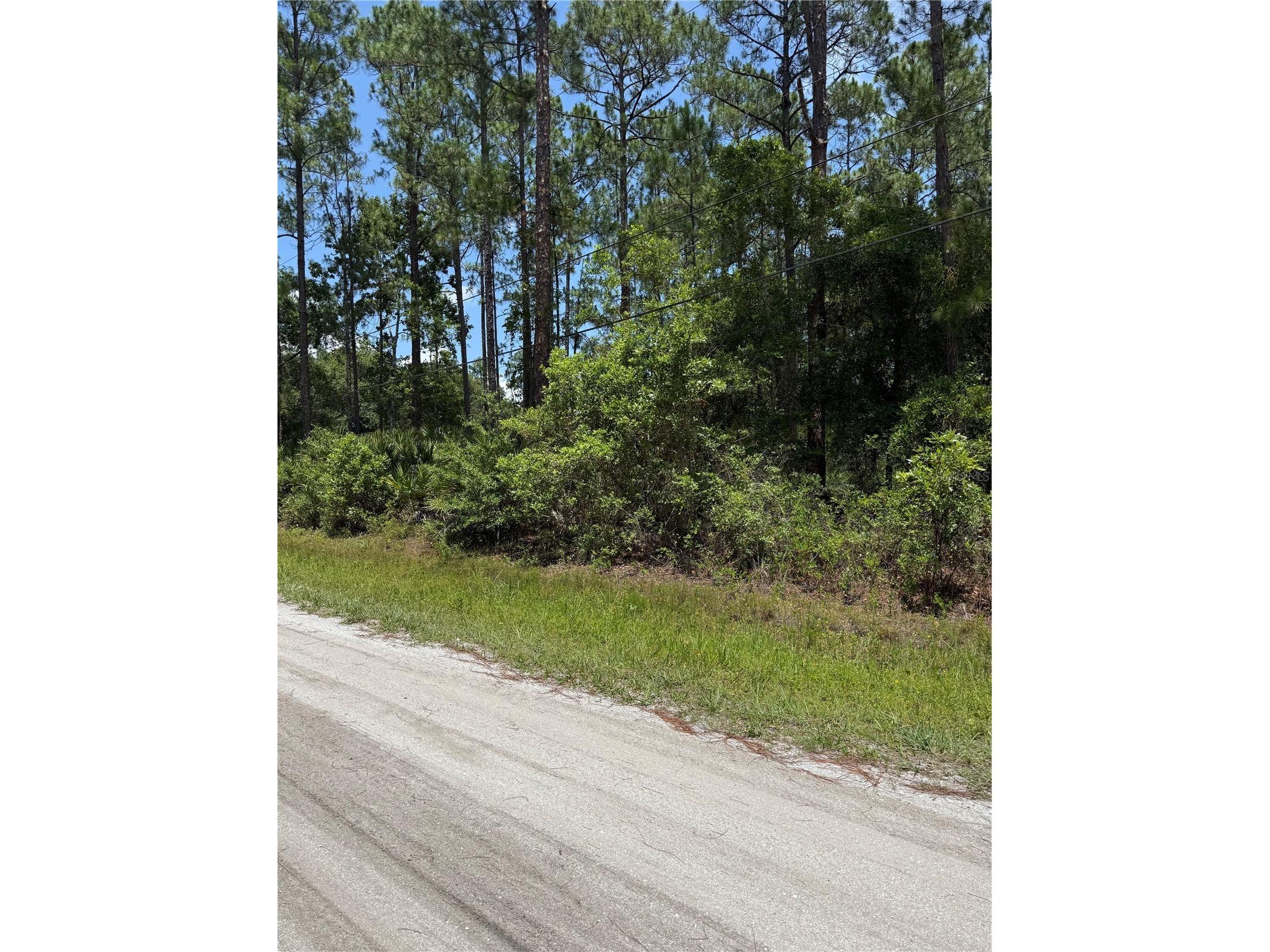 1115 Birch Street Bunnell FL 32110 FC319486 image3
