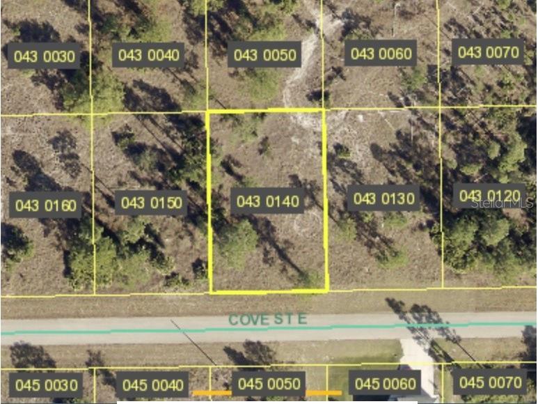 1115 Cove Street E Lehigh Acres FL 33974 D6137638 image1