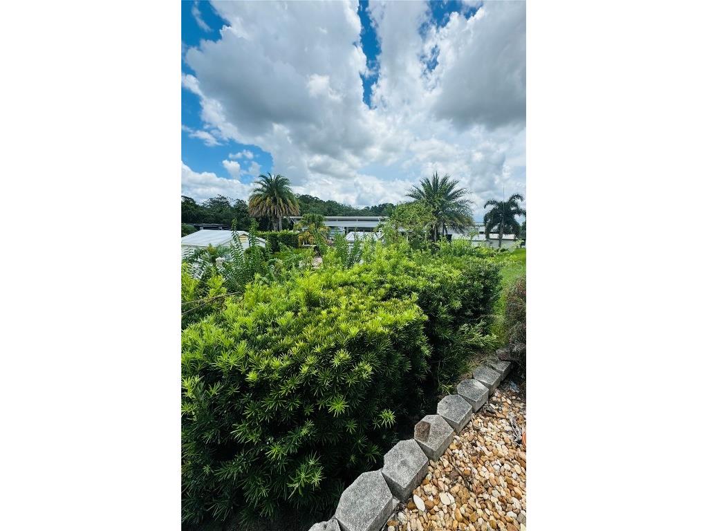 1115 Deer Creek Boulevard Davenport FL 33837 O6321363 image15