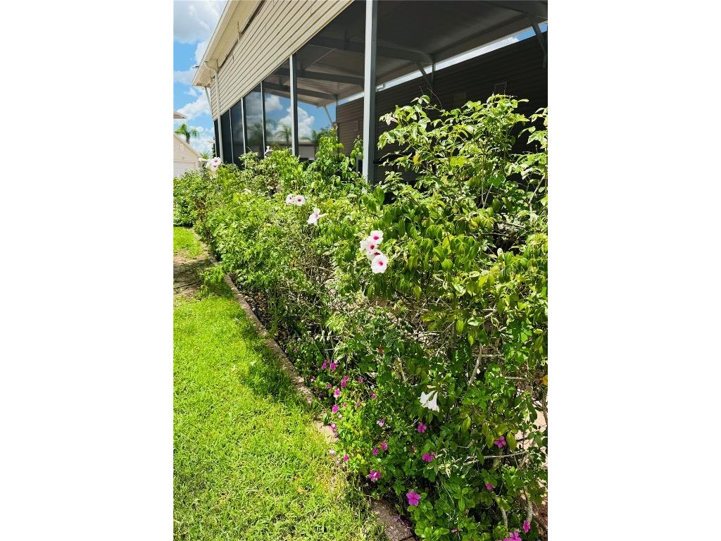 1115 Deer Creek Boulevard Davenport FL 33837 O6321363 image30